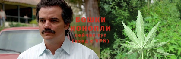 ПСИЛОЦИБИНОВЫЕ ГРИБЫ Абдулино