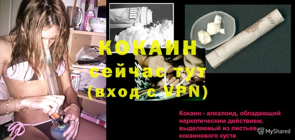 гидра Абаза