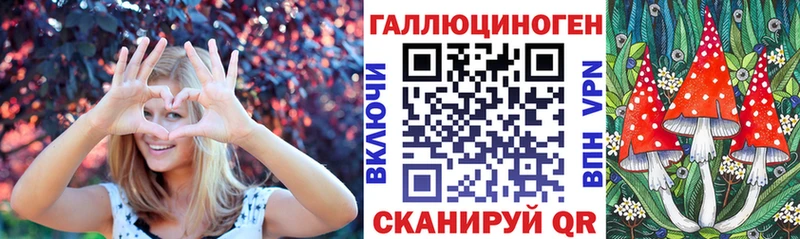 где купить наркоту  Стерлитамак  Галлюциногенные грибы MAGIC MUSHROOMS 