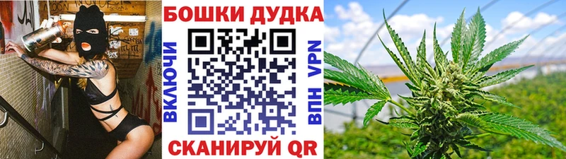 Марихуана сатива  Стерлитамак 